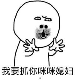 抓咪咪图片,捕捉萌宠瞬间，感受温馨时光