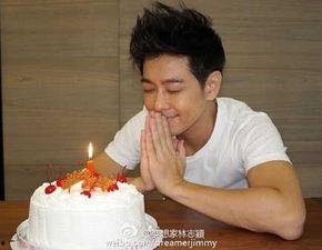 林志颖的父亲背景资料,揭秘商界传奇，成就明星之子