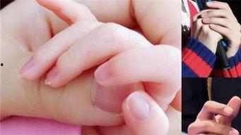 20151115新娱乐,新娱乐风云录